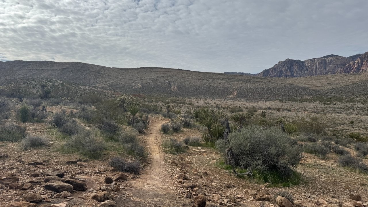 Just the Run — Cowboy Trails Short Loop, Las Vegas | POV Trail Running
