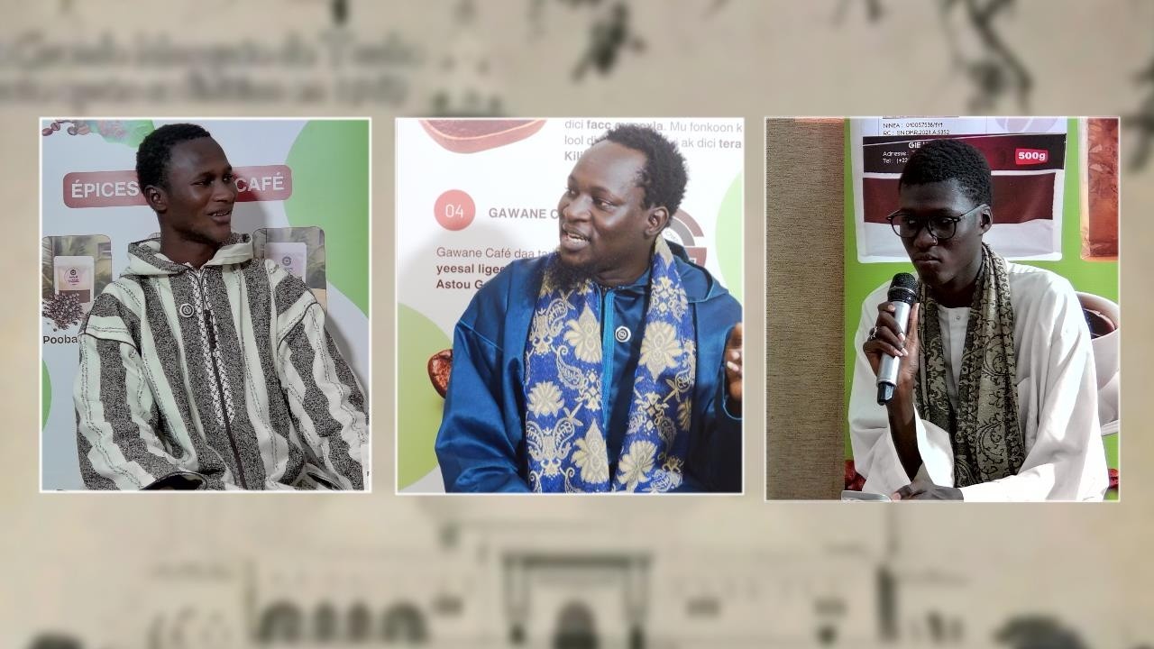 🔴En Direct - Kafe Tuubaa - Thème: Waxtaanee Borom Tuubaa - Présentée par S Daouda Diop Khassida