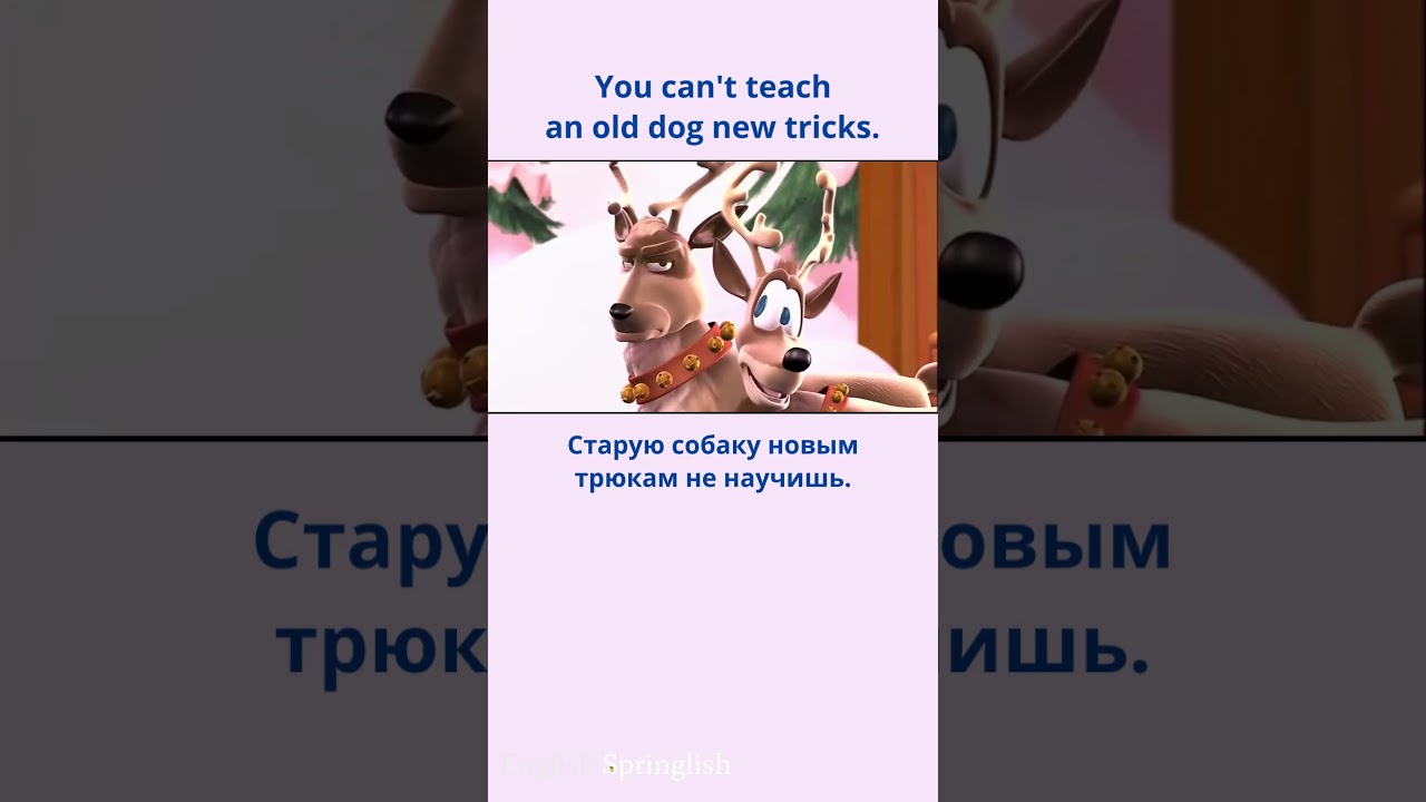 You can't teach an old dog new tricks. - Старую собаку новым трюкам не научишь.