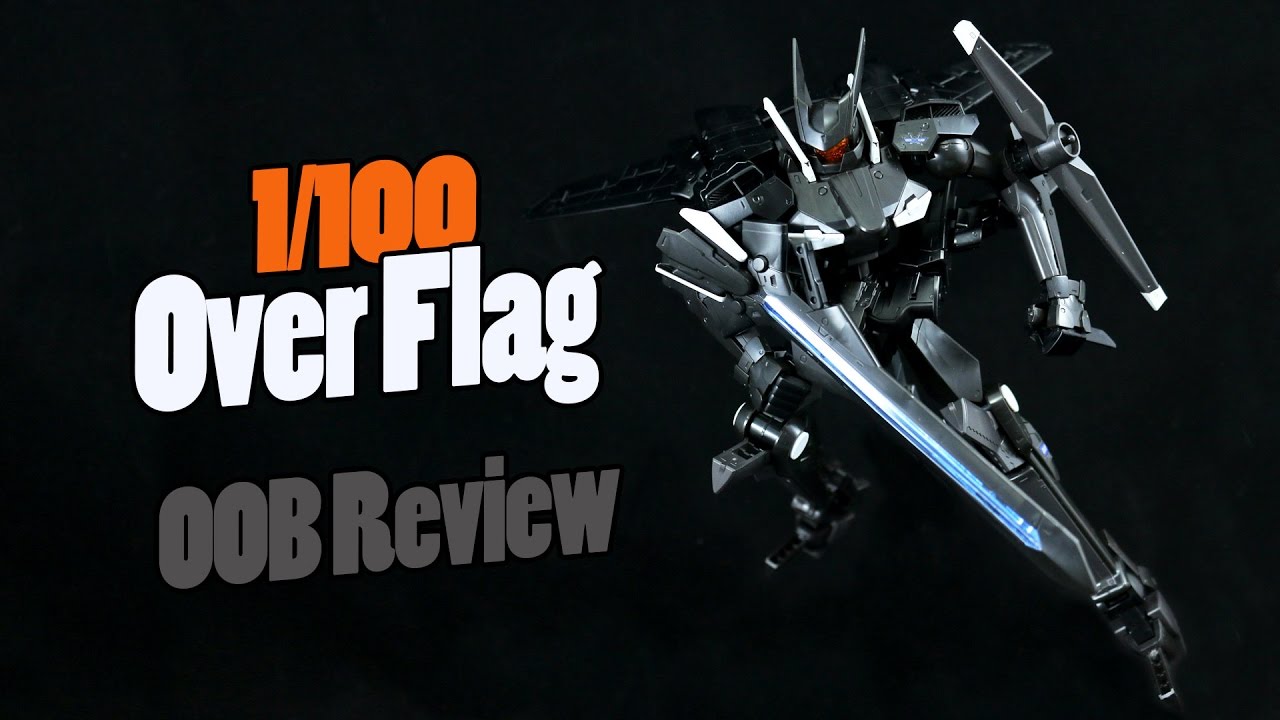 1103 - 1/100 Over Flag (OOB Review)