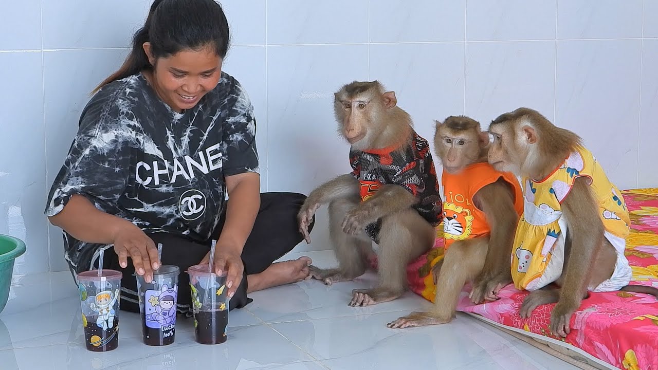 Adorable Kako Luna And Olly Drinking Grape Juice
