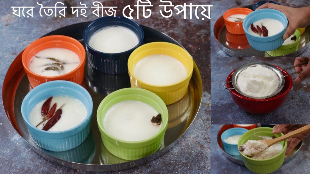 টকদই ছাড়াই ৫টি সহজ উপায়ে ঘরে তৈরি দই বীজ/দই ছাড়া দই বীজ | Doiyer beej/Doi bij | yogurt starter