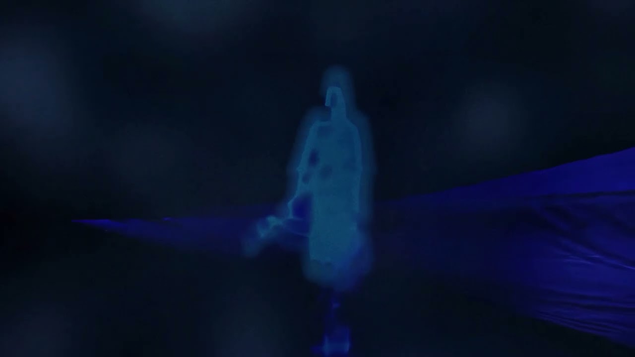 Zamdane - Magicien (Visualizer)