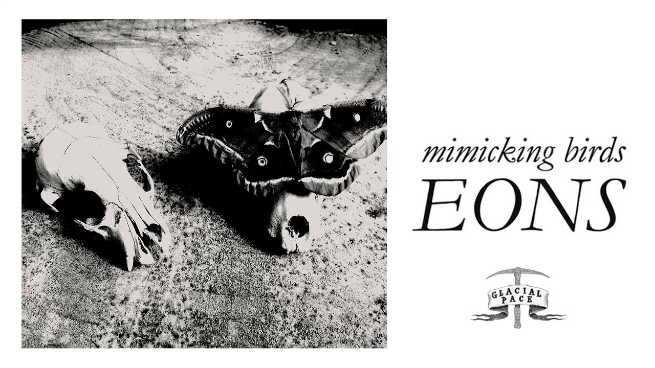 Mimicking Birds - Bloodlines (Official Audio)
