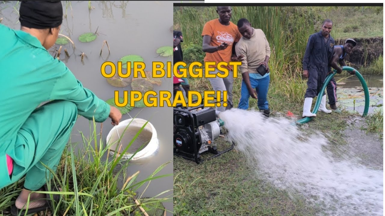 Cholla Farm’s Big Upgrade – Our Water Struggles Are Over!