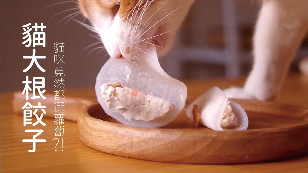 大根餃子，狂吃白蘿蔔？！我養的是貓嗎？【貓副食食譜】好味貓廚房EP57
