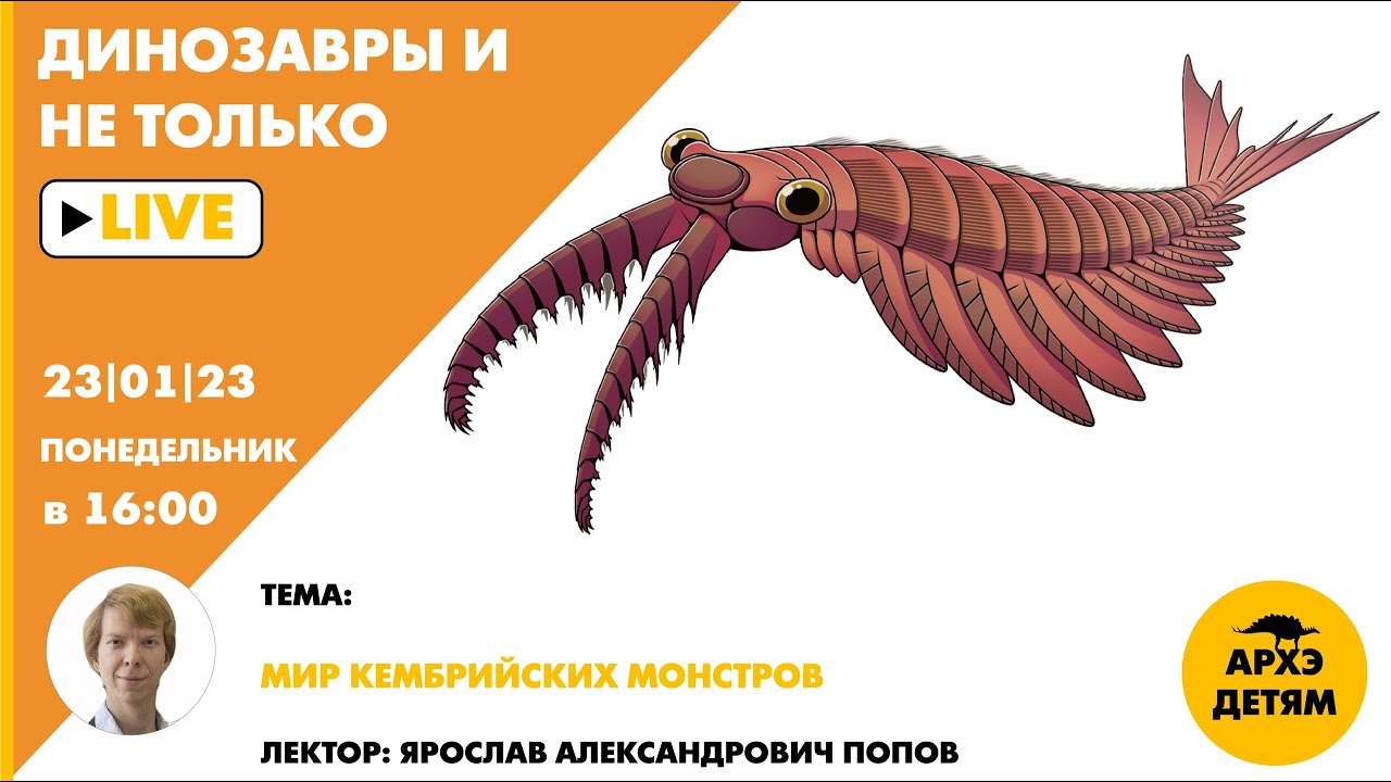Занятие 