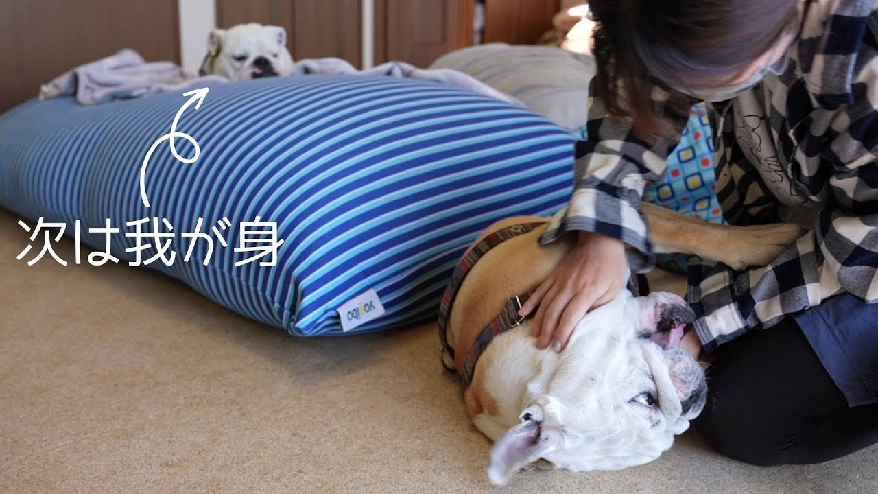 お兄ちゃんとママが朝から大乱闘！　私は寝たフリでやり過ごします。。