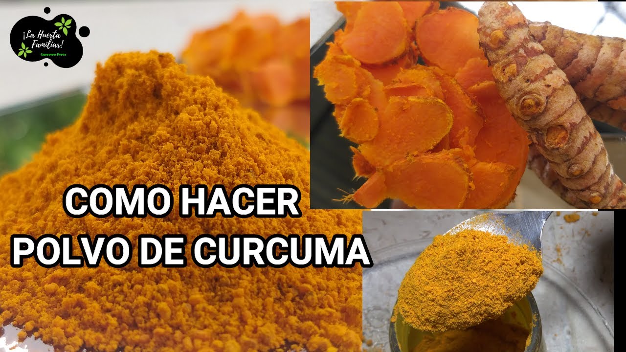 COMO HACER POLVO DE CÚRCUMA //BENEFICIOS, USOS ,PROPIEDADES  Y 3 FORMAS GERMINAR Y TRASPLANTAR.