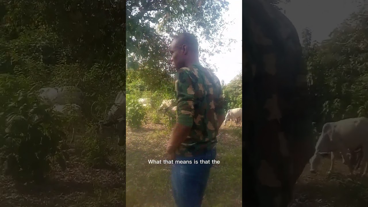 Nigerian veterans