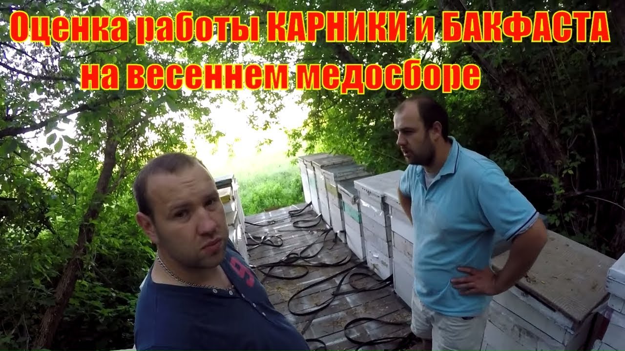 Оценка работы КАРНИКИ и БАКФАСТА на весеннем медосборе Пчеломатки 2018  Итоги кочевки на озимый рапс