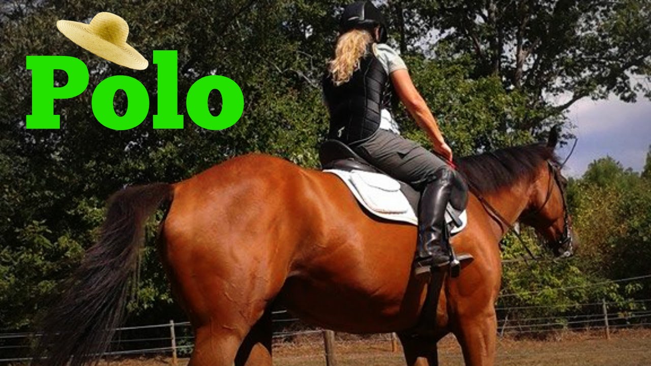 Polo Match | Vlog