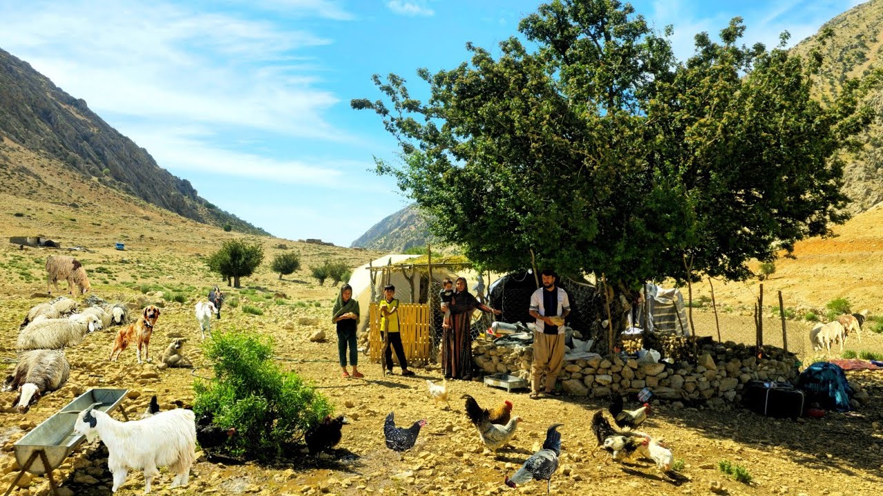 Building a Shelter in the Wild Zagros Mountains | Nomad Family Life 🏕️🏔️🔥