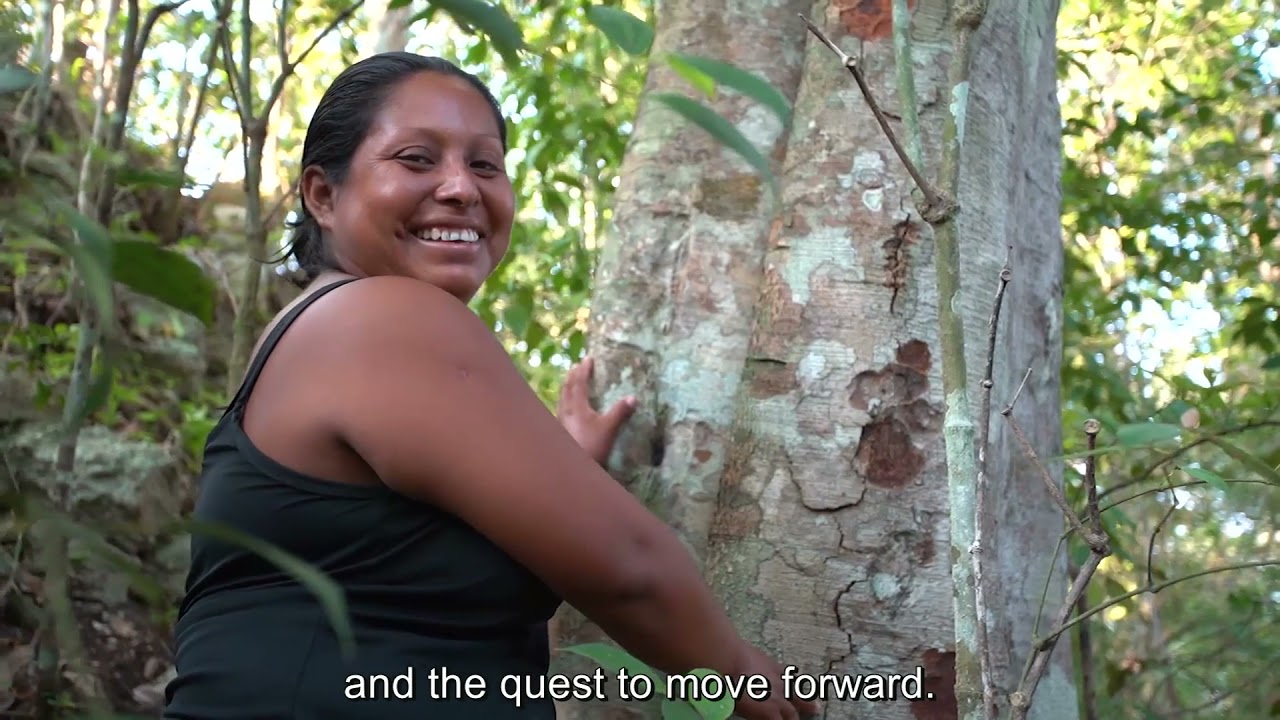 Buen Vivir &ndash; a guiding principle of indigenous cultures in Mexico
