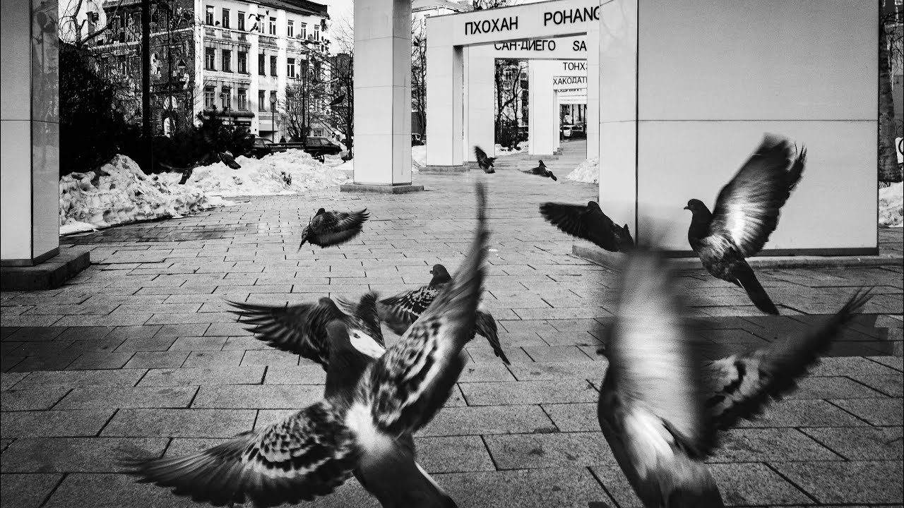 Black and white collection Pt.2 | Ricoh GRII | High contrast BW | Street photography