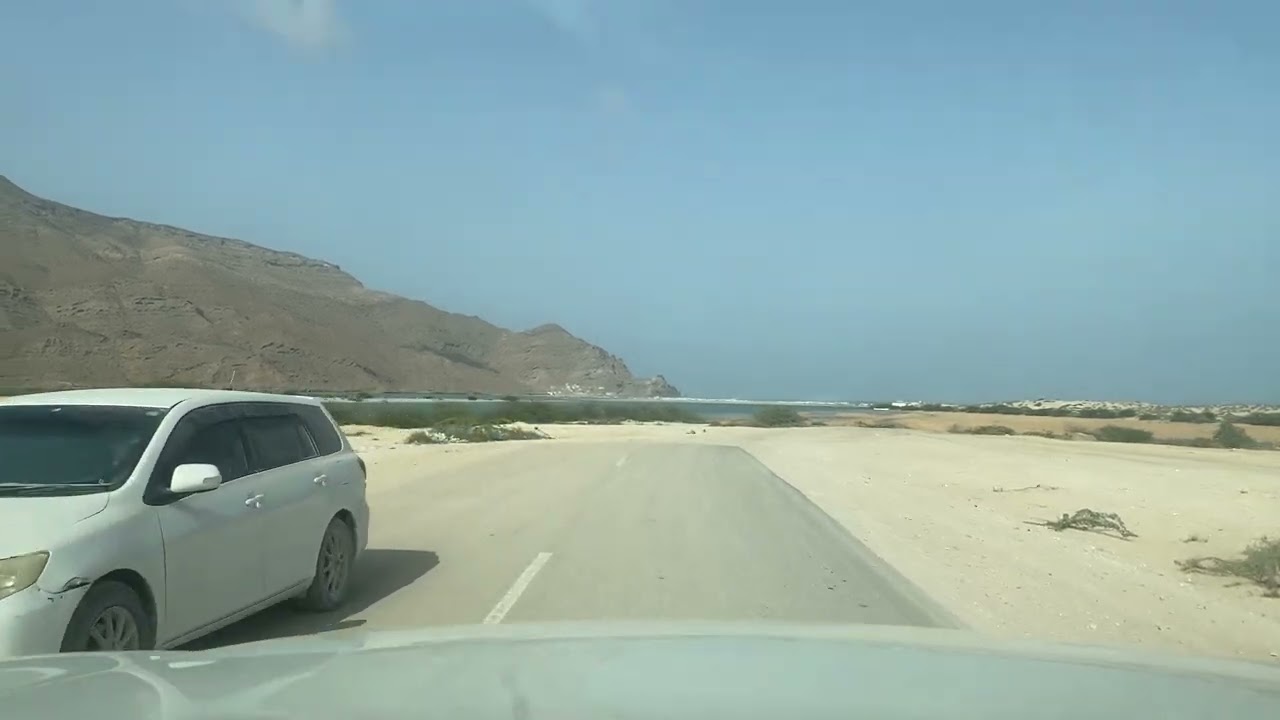 12 فبراير، 2026