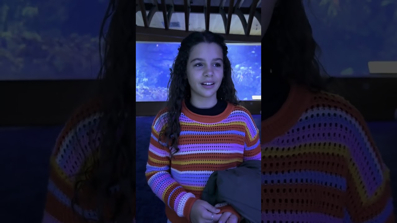Visitando L’Oceanogràfic em Valência-Espanha! Dia 30/12/2025