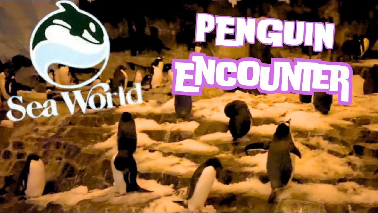 Antarctica: Empire of the Penguin at SeaWorld Orlando Exhibit Full Tour and Review 2024 Florida