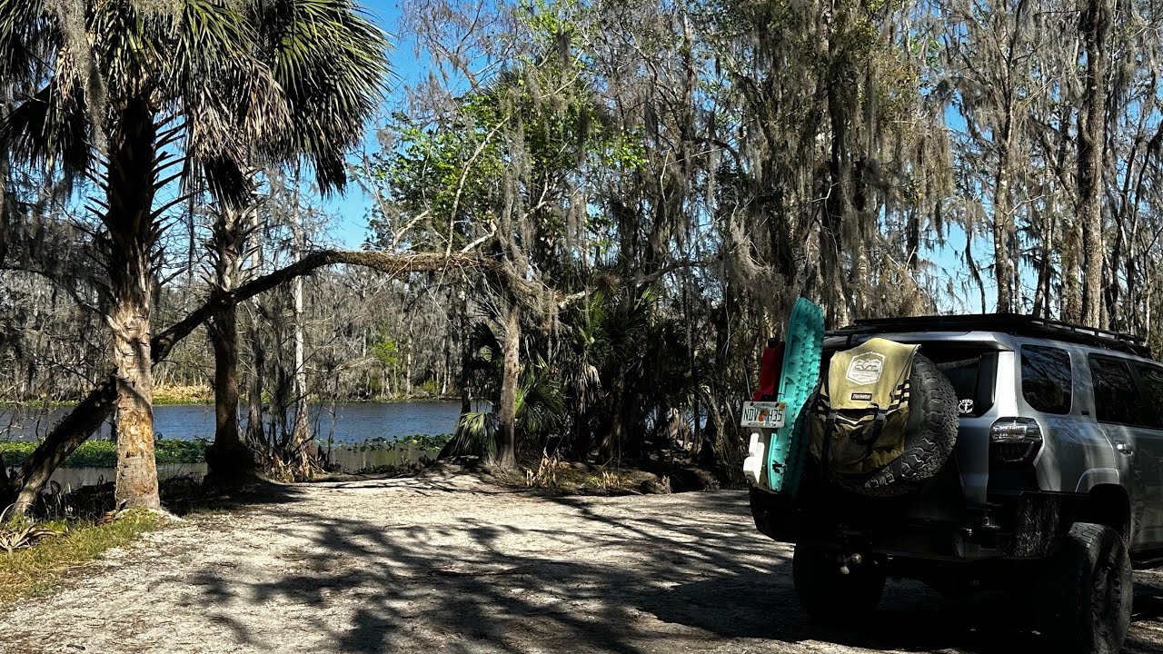 Разведывательная миссия | Ночевка в самый холодный день года (7°) | Река Сент-Джонс