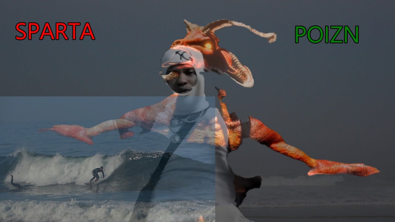 NEW TOMMY LEE SPARTA - POIZN OFFICIAL SURFING VIDEO  FUN WAVES CALIFORNIA 