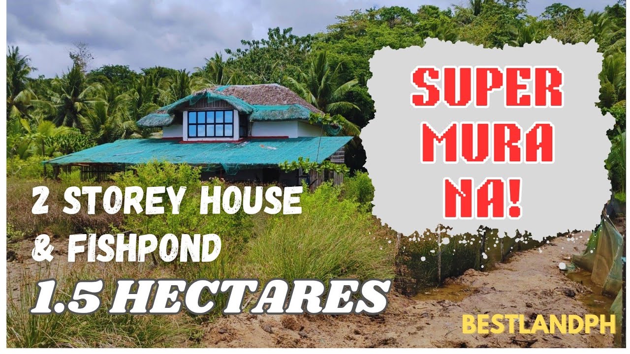 #0117 GOOD FOR RETIREMENT | MAY 2 STOREY HOUSE NA MAY FISHPOND PA