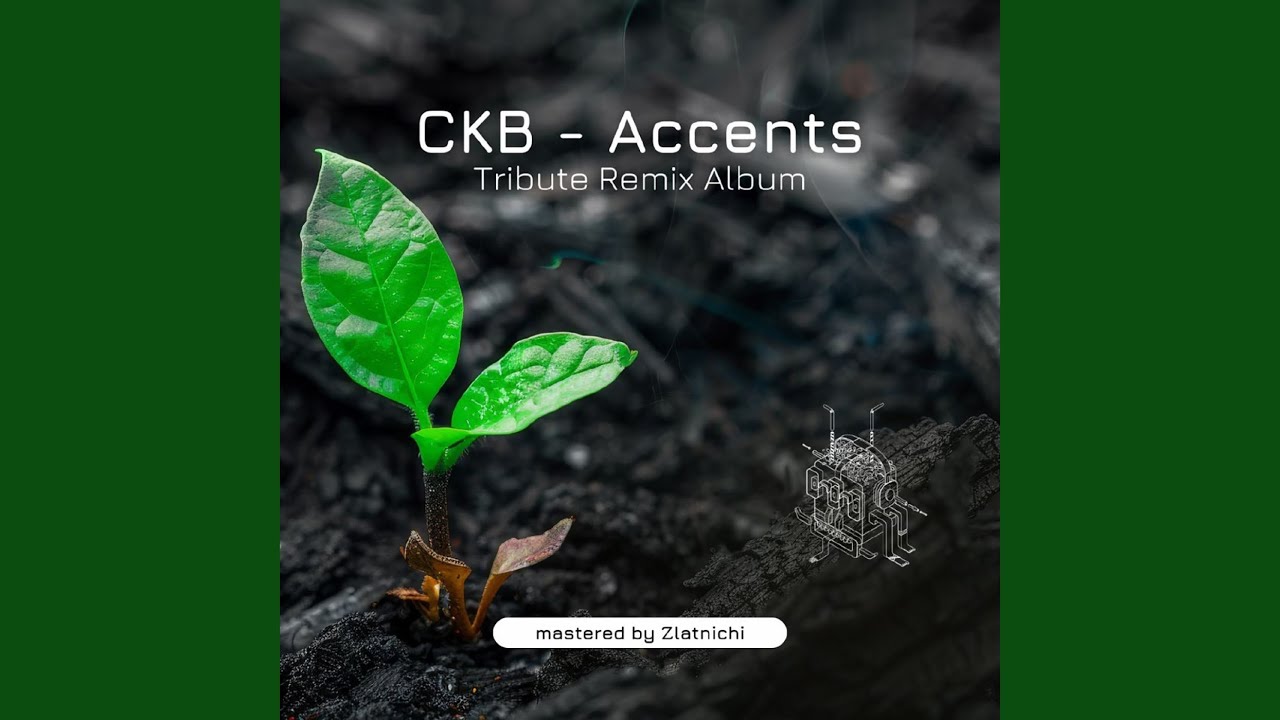 Accents (Fedo Remix)