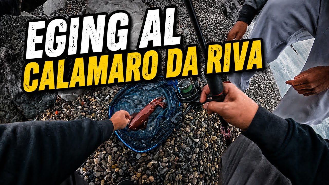 🔴 EGING a SEPPIE e CALAMARI  - FINALMENTE INIZIANO !