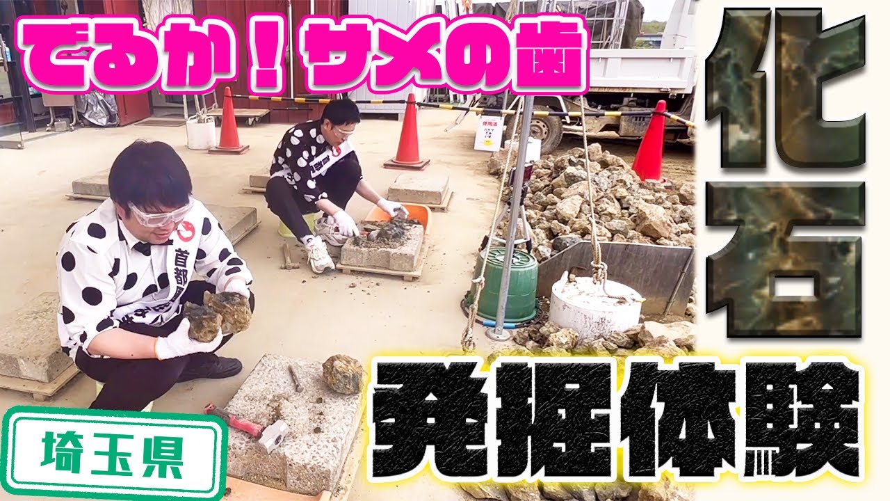 【埼玉県】【化石発掘】サメの歯を発掘できる「化石と自然の体験館」