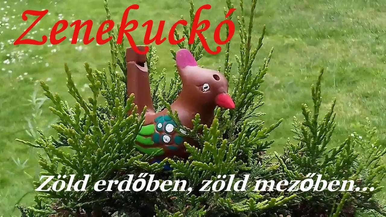 Zenekuckó  Zöld erdőben, zöld mezőben...