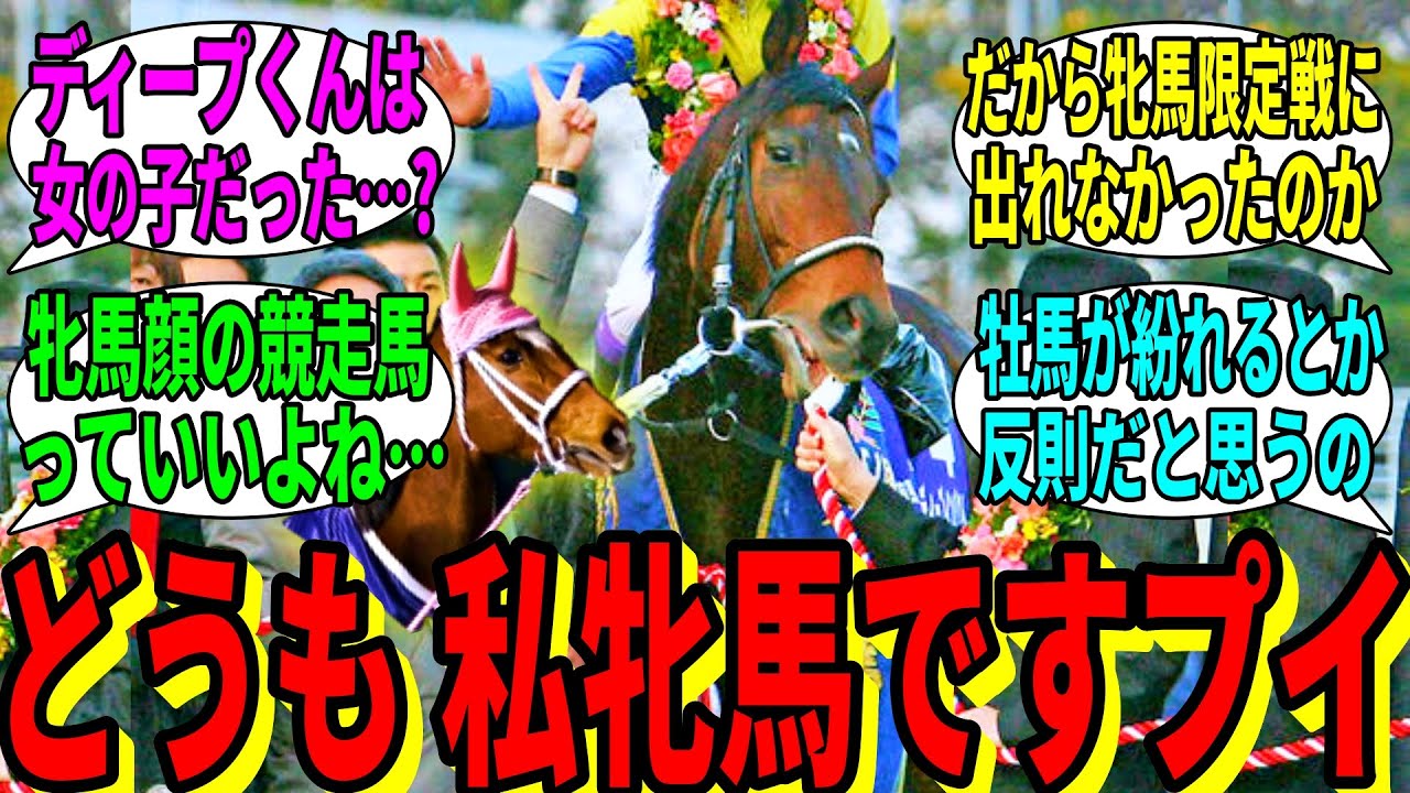 【競馬の反応集】「自分牝馬なので通して欲しいですプイ」に対する視聴者の反応集