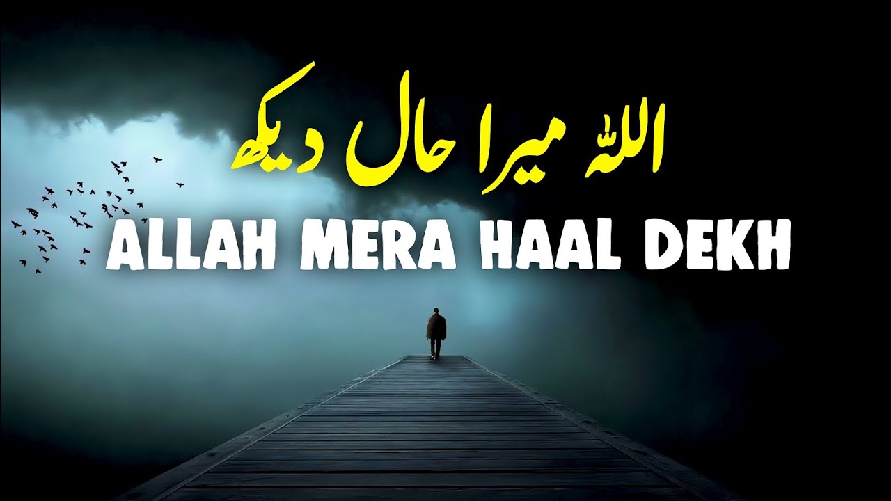 ALLAH Mera Haal To Dekh | Beautiful Spiritual Quotes | Listen the Islam Q.K