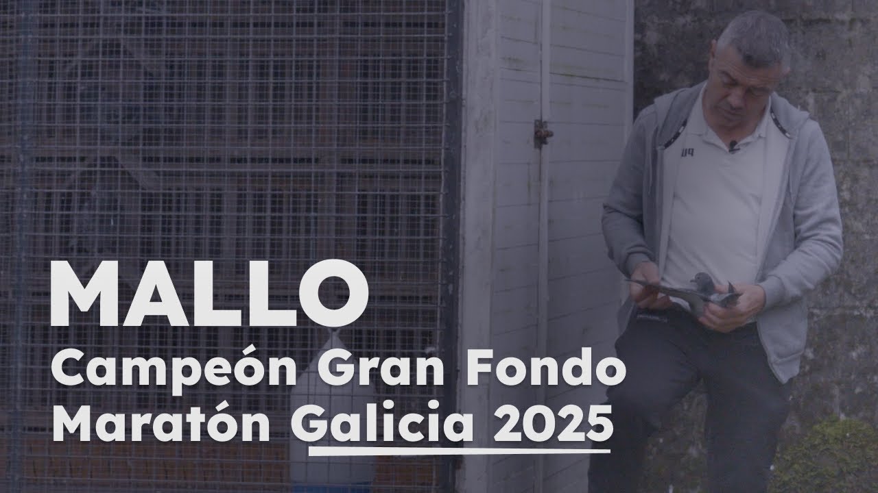 El secreto detrás de una AS Paloma de Gran Fondo y Maratón | Manuel Fernández Mallo