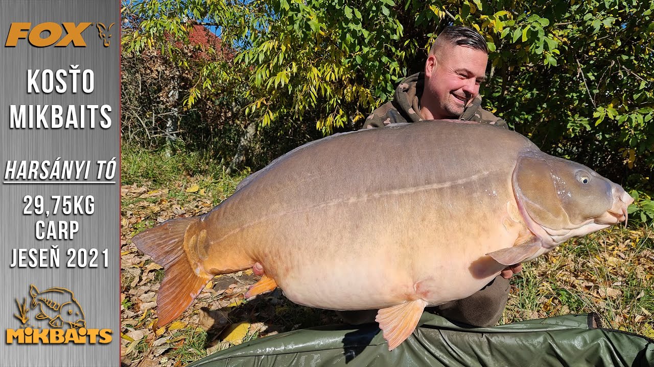 KOSŤO MIKBAITS - HARSÁNYI TÓ - 29,75kg CARP - JESEŇ 2021 /4K UHD/