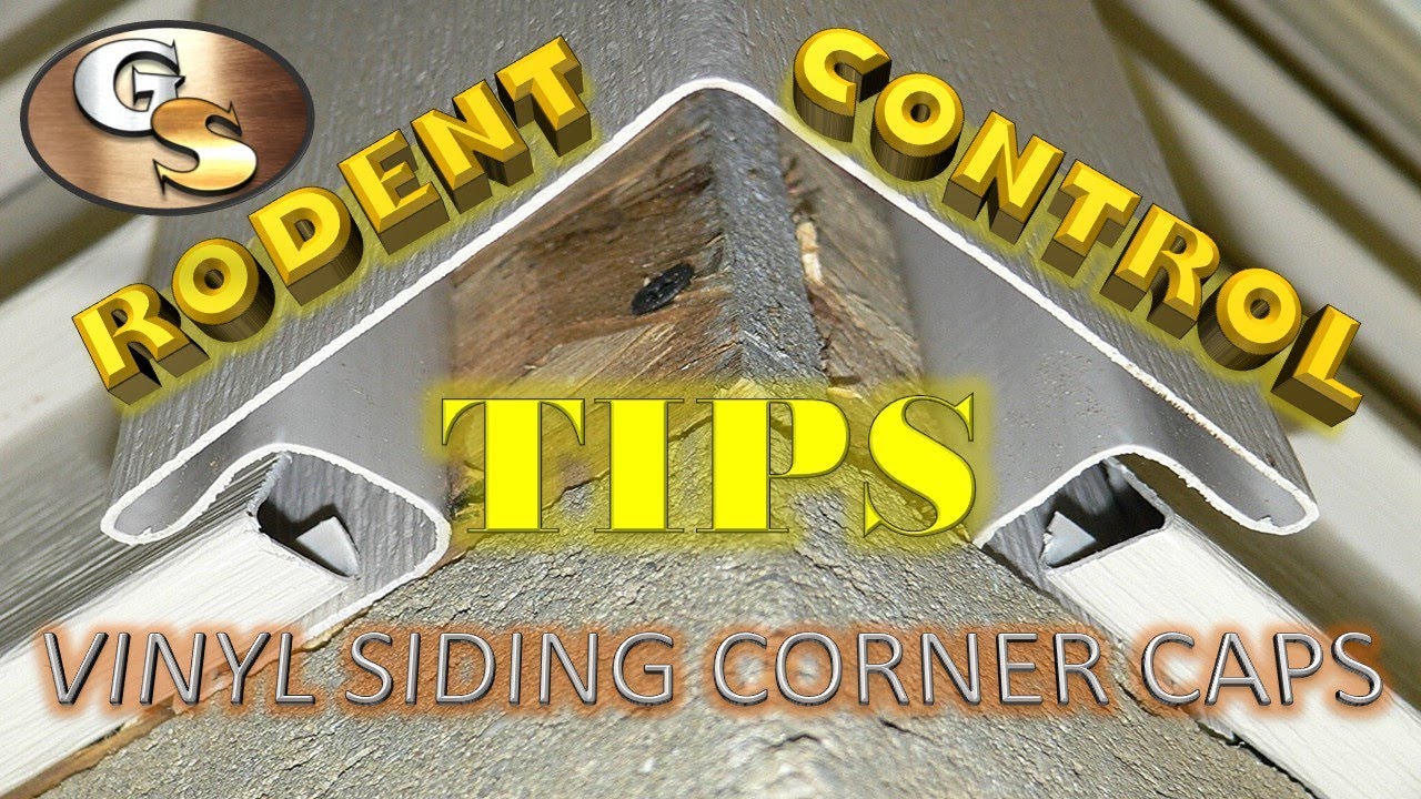 RODENT CONTROL TIPS - VINYL CORNER CAPS