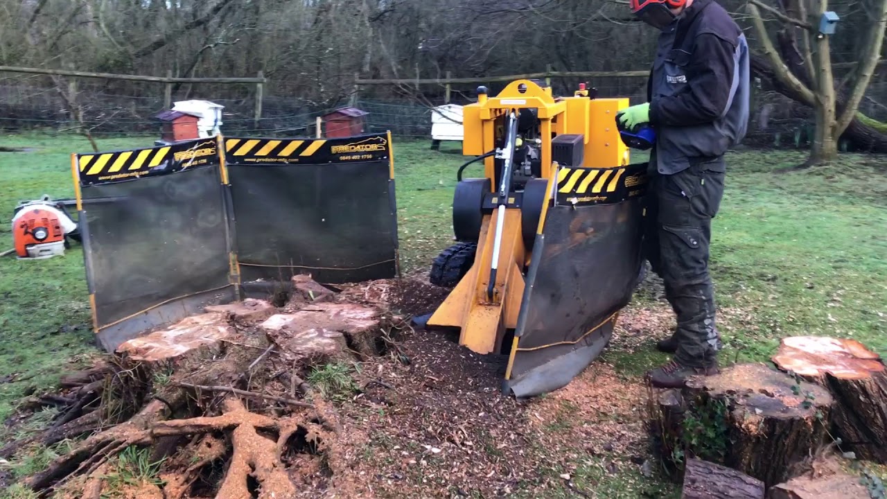How to remove a tree stump. DR STUMP LTD