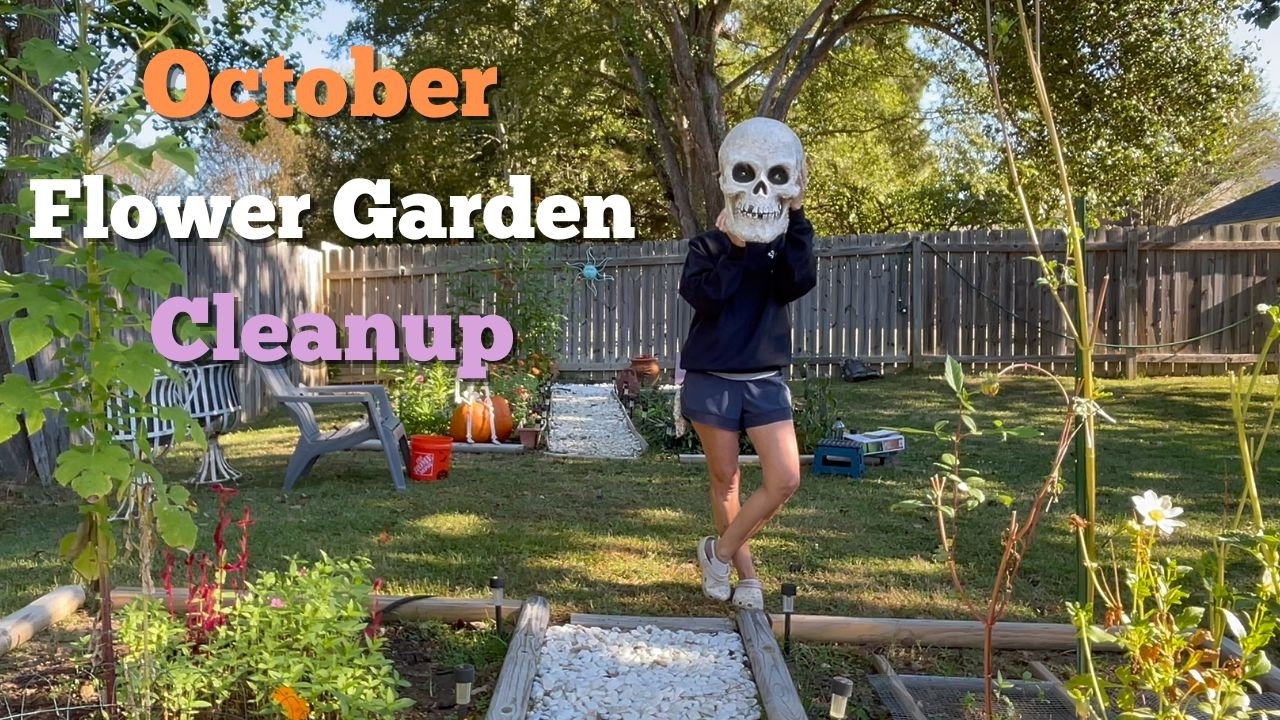 October Flower Garden 🎃 Costco Ornamental Grass, Snapdragons & Garden Cleanup 🎃 Zone 8B