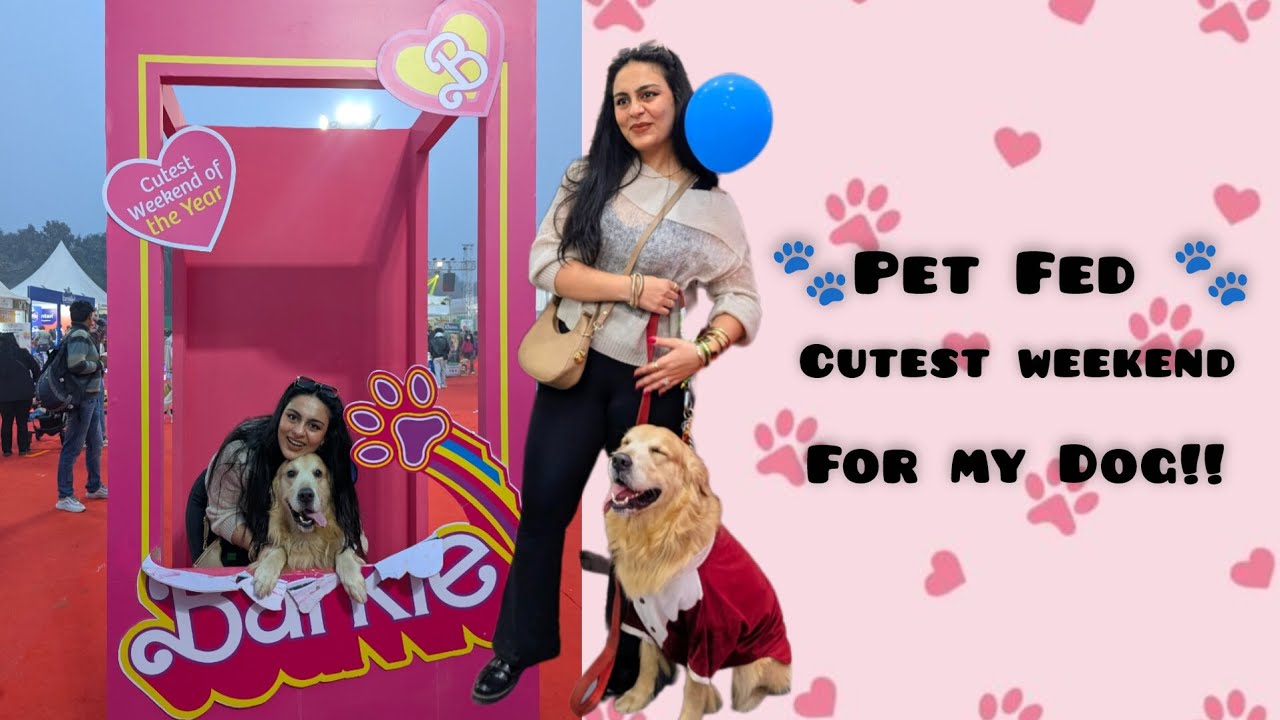 Pet Fed with My Dog & Family | What Actually Happens There?