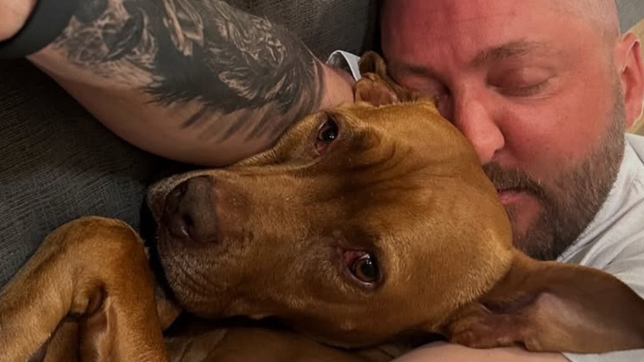 He was abandoned and about to be euthanized – but I adopted him, and everything changed.