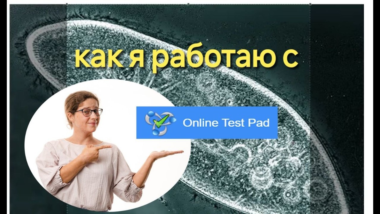 Туториал по работе с Тест Падом