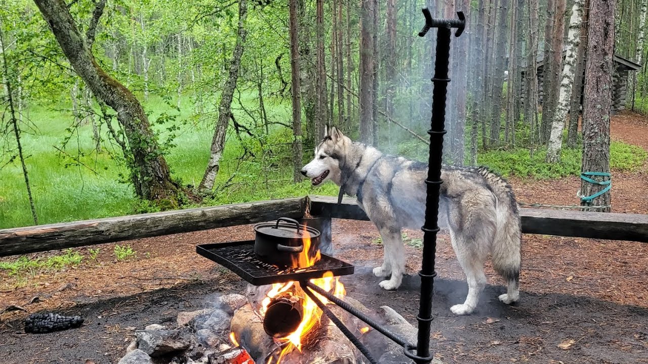 Taitajan Taival Pohjois-Karjala