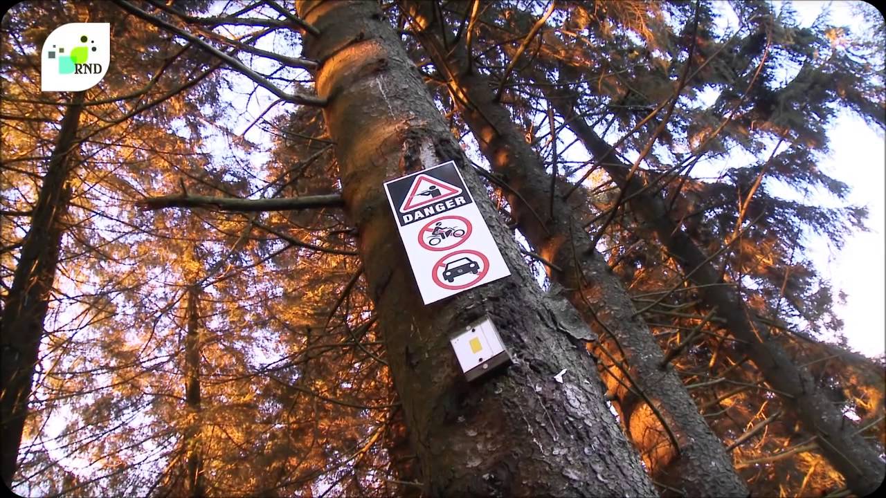 Les conflits d'usage en forêt communale