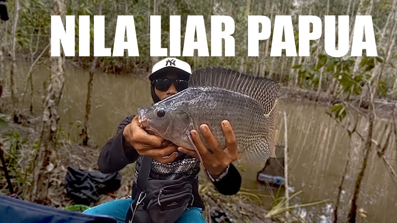 STRIKE NILA MONSTER DI DALAM HUTAN!!!