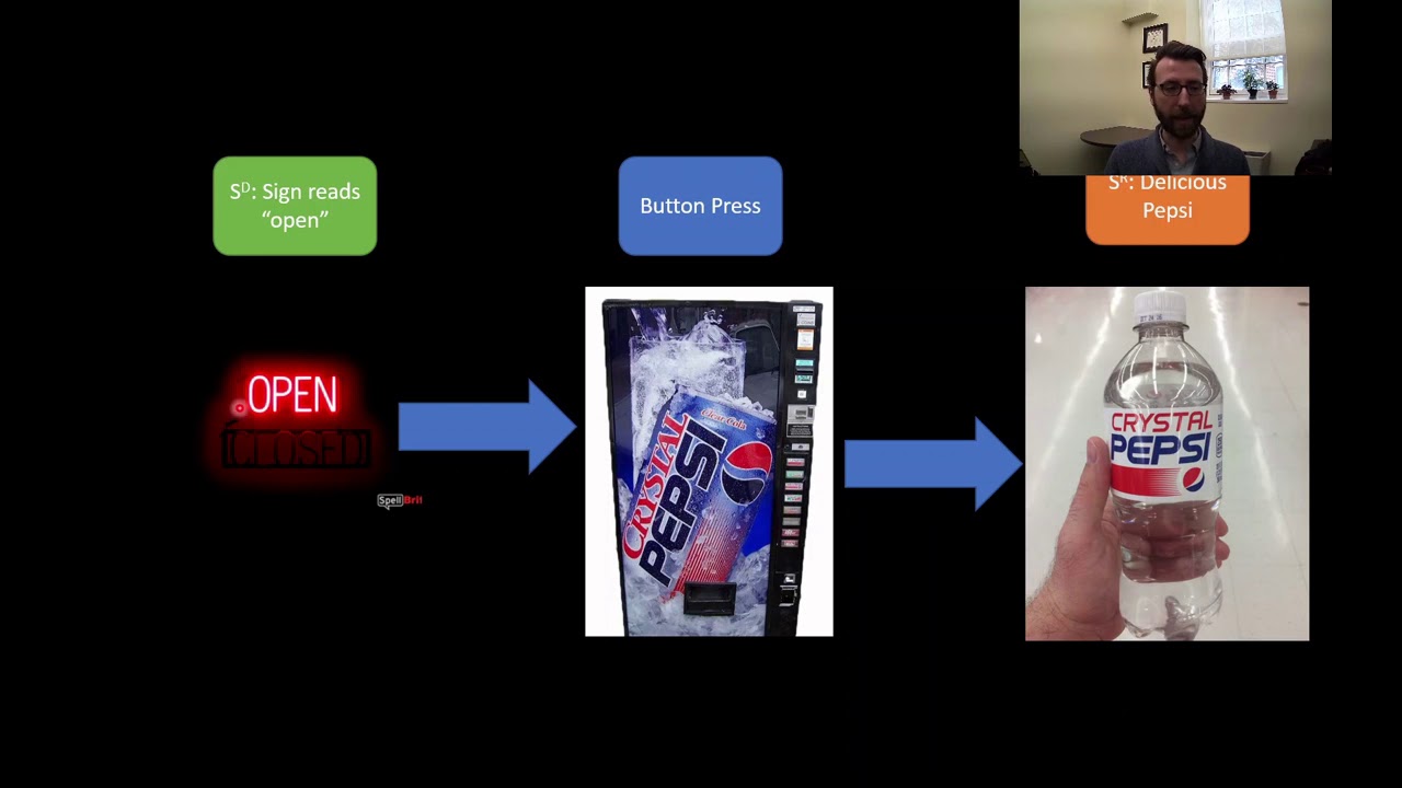 PSY313 CH7PT1: ABC's of Operant Behavior