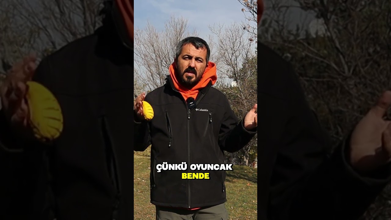 Köpeğime Oyuncakla Oynamayı Nasıl Öğretebilirim Acaba?