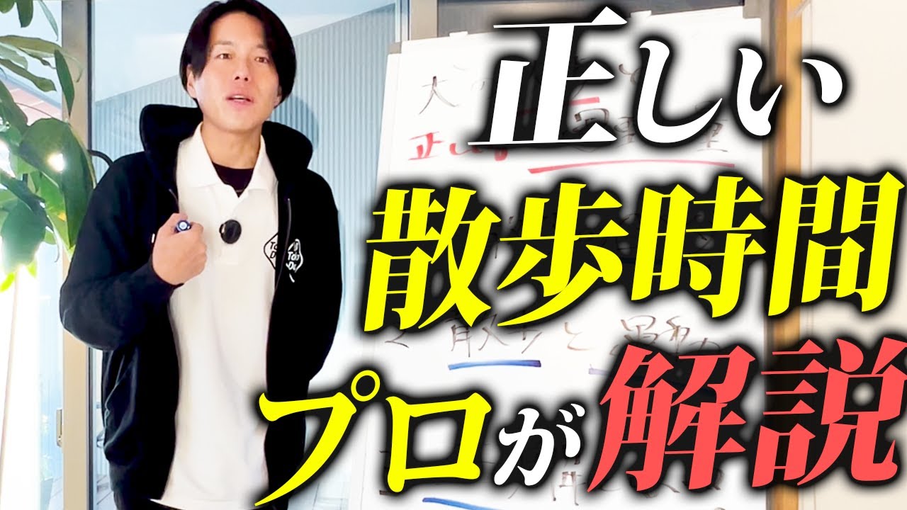 【保存版】散歩は