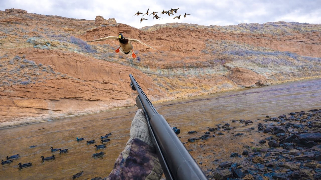 Canyon Duck Hunting a Natural Hot Spring River!