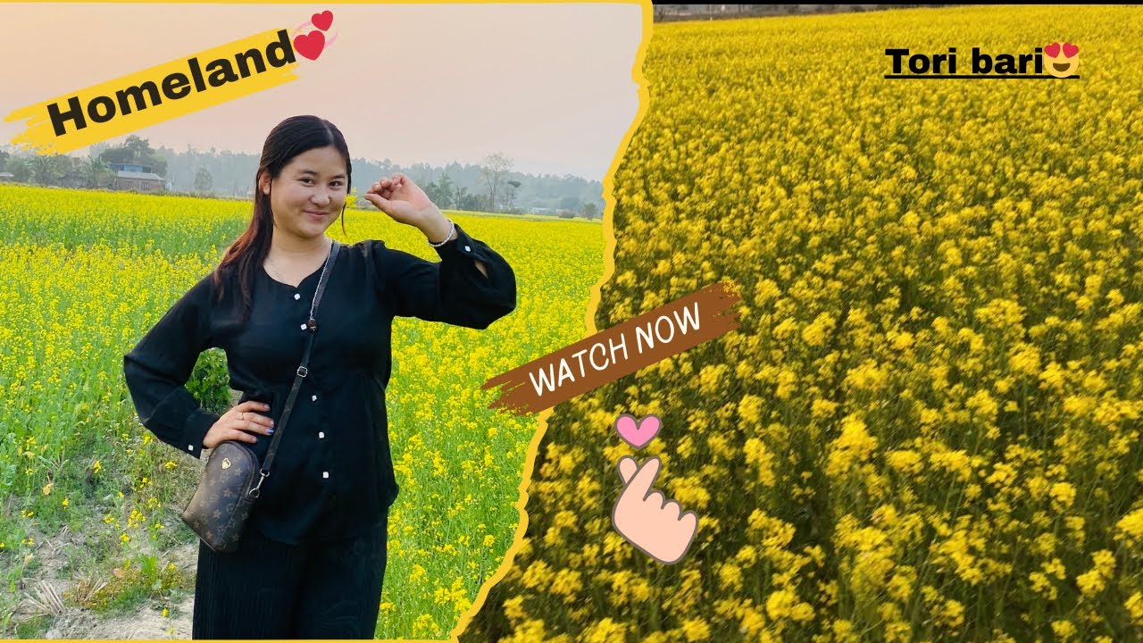 Home 🏡|| Gaaughar tir dhakamakka tori fulirahex😍🥰|| Tori season|| Familyvlog💞 