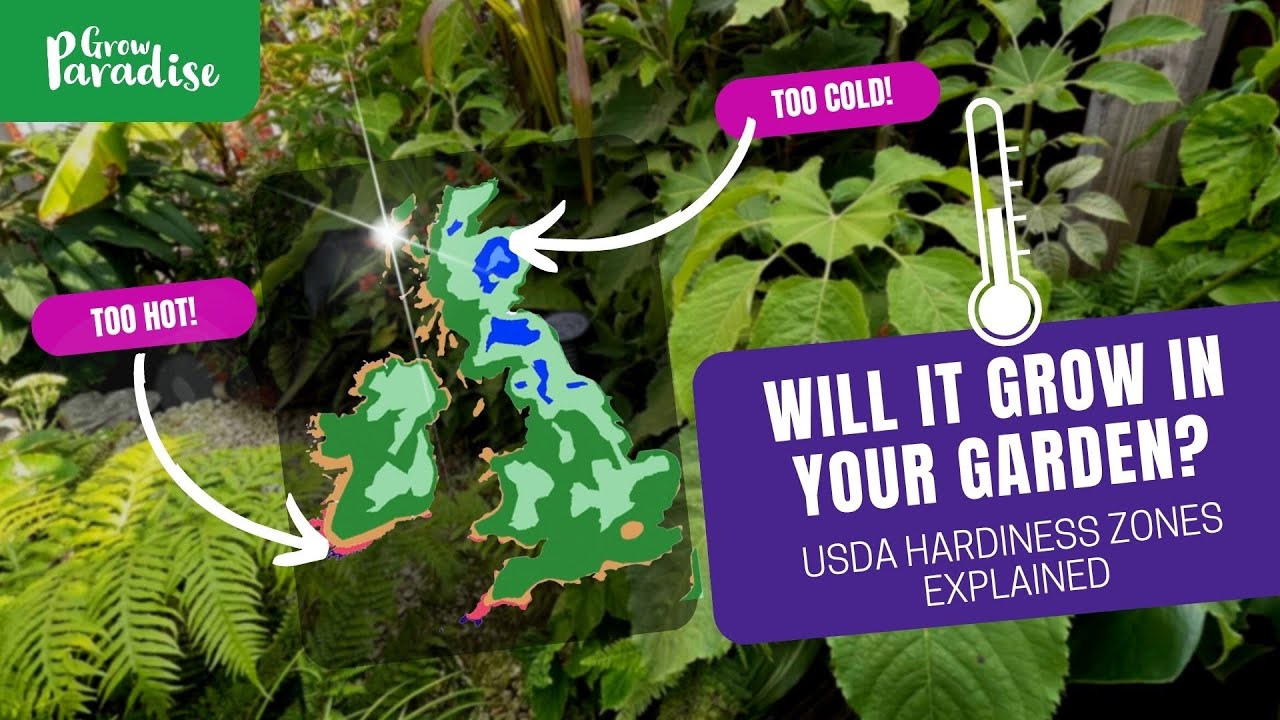 Create the ULTIMATE plant shopping list - USDA plant hardiness zones