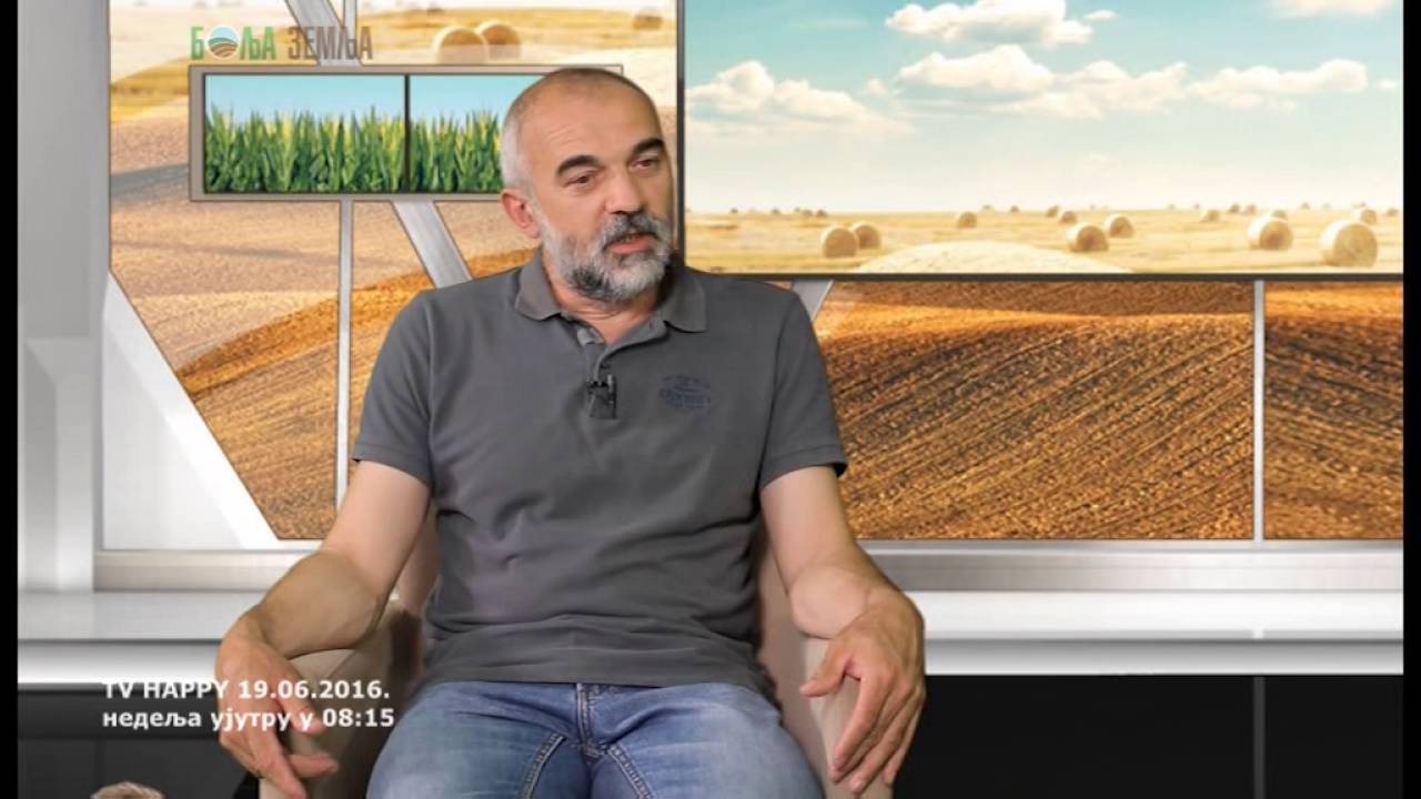 Kako bunardzije znaju gde je voda  -  prava informacija od stručnjaka ?