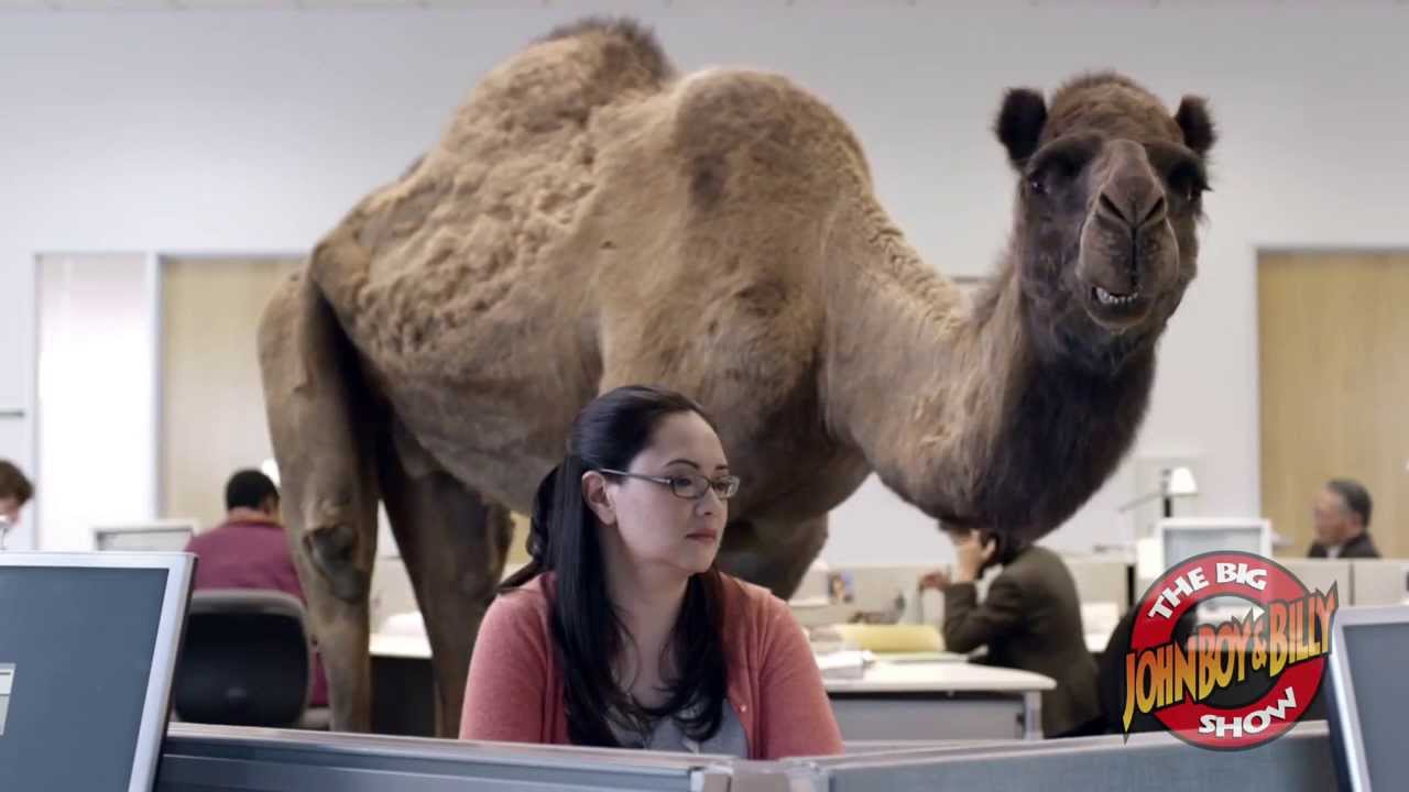 Hump Day Blues with the GEICO Camel